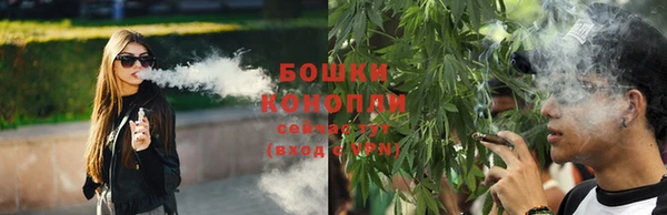 прущие грибы Верхнеуральск