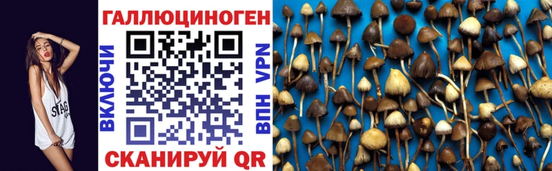 Псилоцибиновые грибы Cubensis  Устюжна 